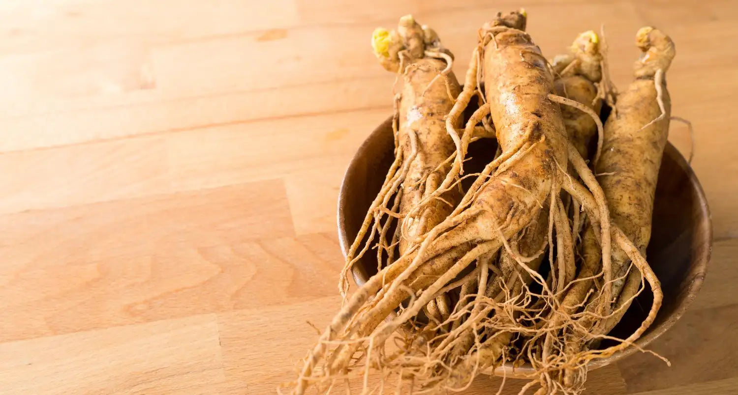 IL FANTASTICO MONDO DEL GINSENG: EFFETTI SULLA SALUTE FEMMINILE E SULL'INTESTINO